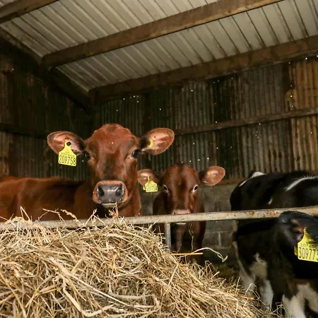 Manor House Farm 度假居 *