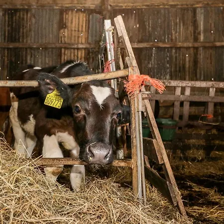 Casa vacanze Manor House Farm